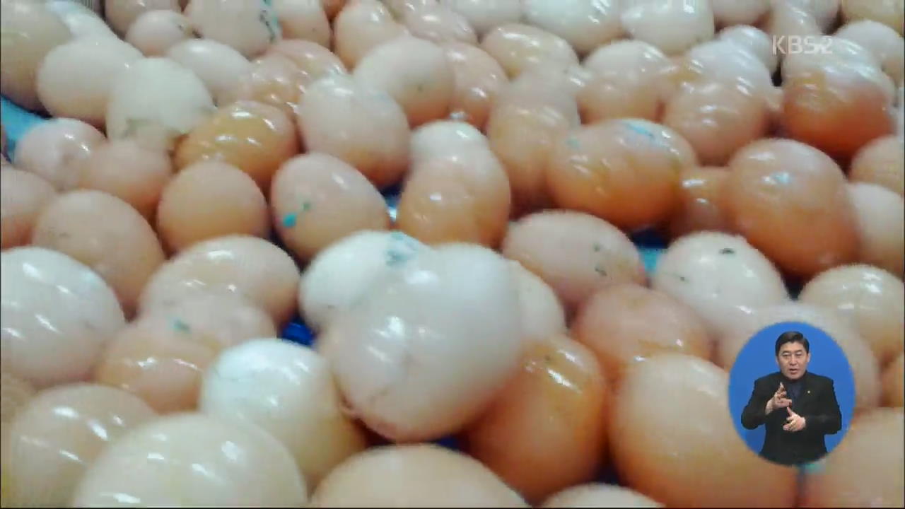 ‘폐기물 재활용 계란’ 제과·식품업체로…