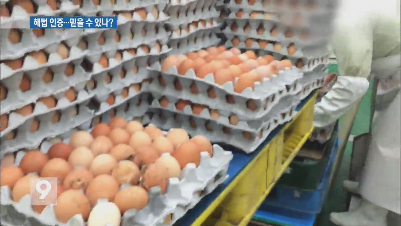 ‘폐기물 계란’ 가공공장, 정부 보증 해썹 인증받아