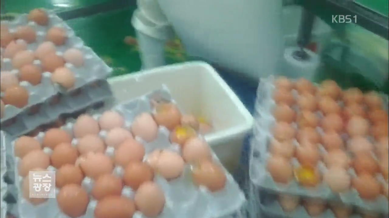 ‘폐기물 계란’ 공장, 정부 해썹 인증…믿을 수 있나?