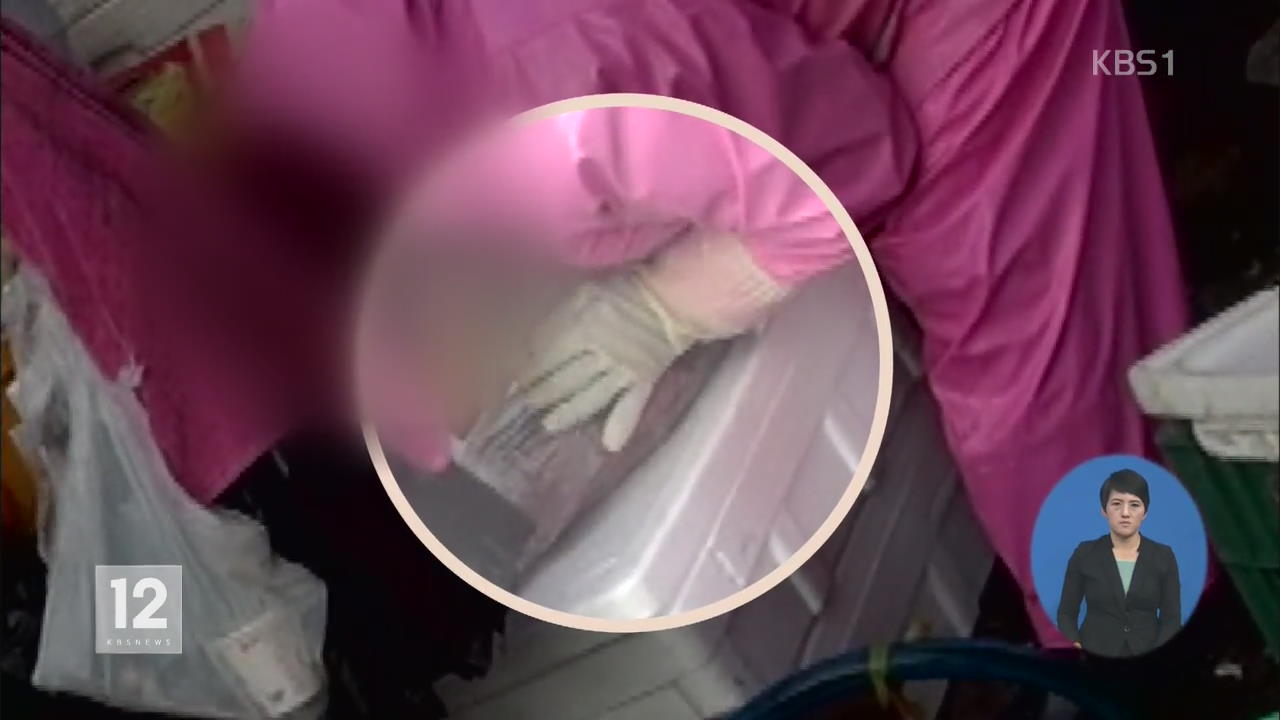 탱탱한 대구 알고보니…빨대 꽂아 ‘공기 주입’