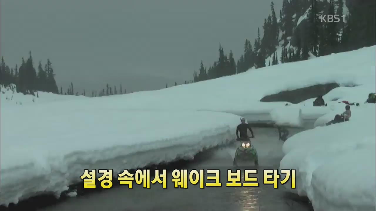 [세상의 창] 설경 속에서 ‘웨이크보드’ 타기