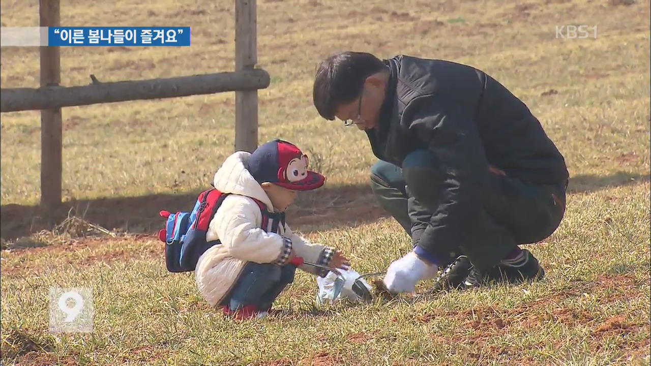 “냉이 캐러 들판으로”…따뜻한 봄 향기 ‘물씬’