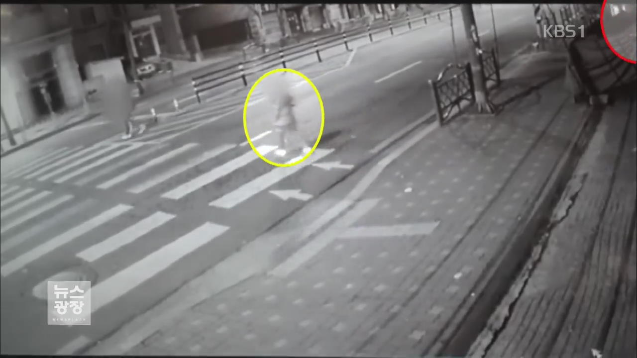 경찰, CCTV로 성폭행 미수범 신고 5분만에 검거