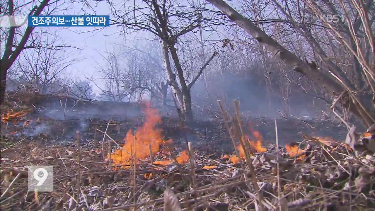 건조한 날씨 속 전국 곳곳 산불 잇따라