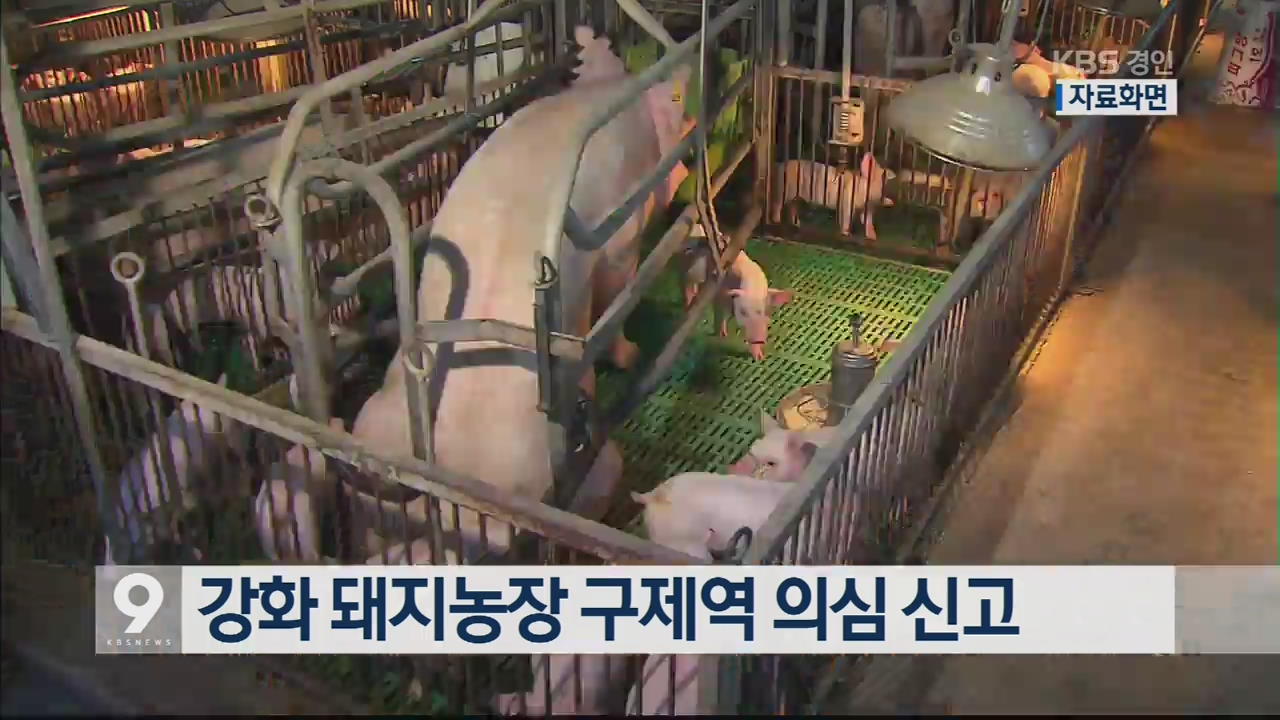강화 돼지농장 구제역 의심 신고