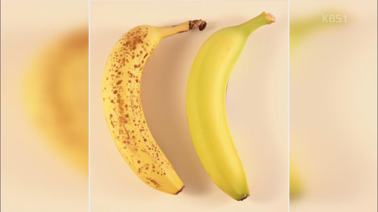 [인터넷 광장] 바나나의 검은 반점, 면역력 증가