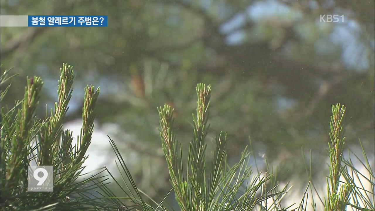 봄철 알레르기, 눈에 안 보이는 ‘미세 꽃가루’ 주의