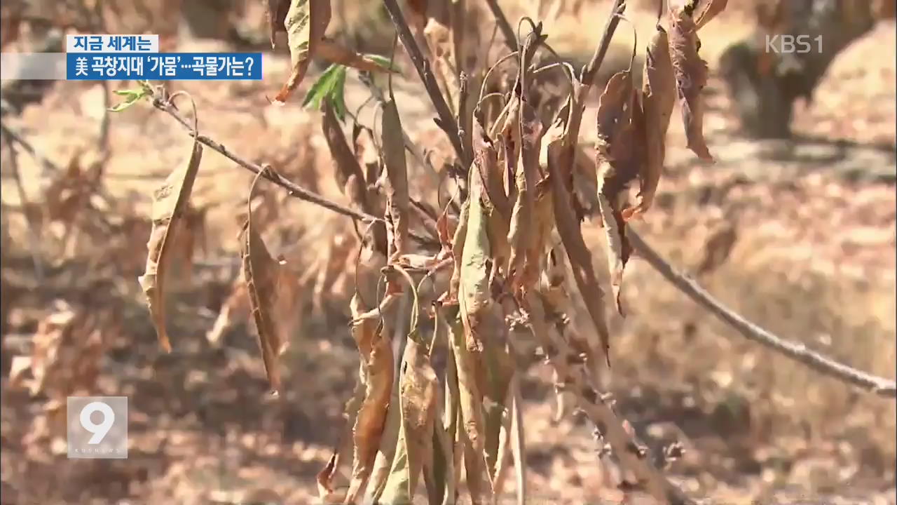 [지금 세계는] 미 곡창지대 캘리포니아 최악 가뭄…곡물가는?