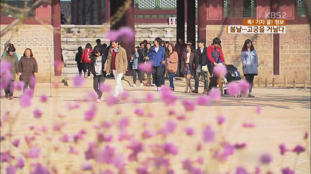 [똑! 기자 꿀! 정보] 감춰 왔던 고궁의 매력, 전격 공개!