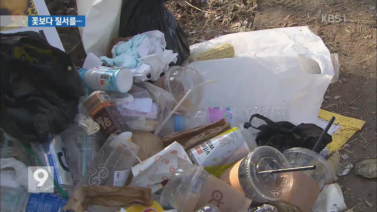 벚꽃 축제 일부 시민 무질서에 쓰레기까지 ‘눈살’