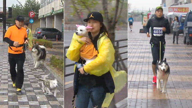 ‘반려견과 함께 달리는’ 캐니크로스 아세요?