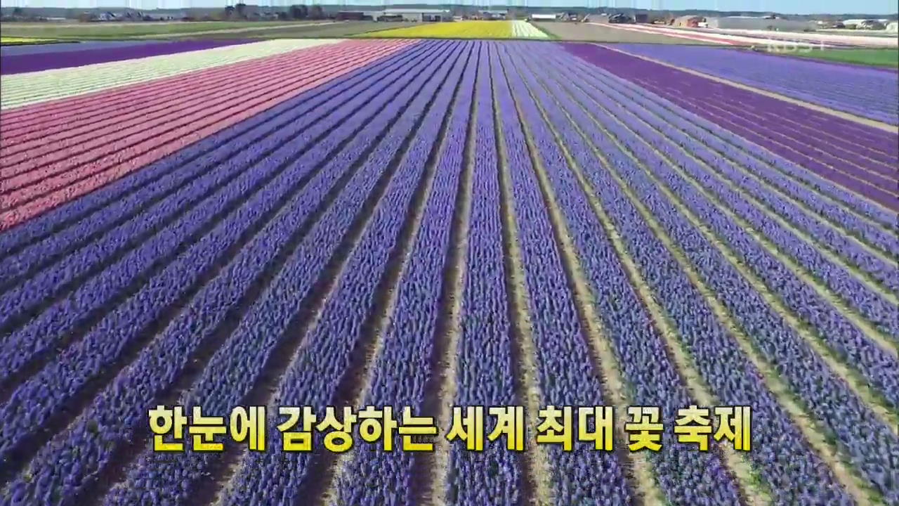 [세상의 창] 한 눈에 감상하는 세계 최대 ‘꽃 축제’