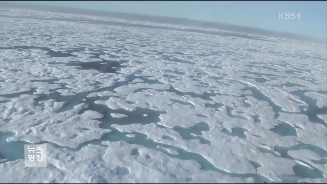 “북극 급격한 온난화, 식물성 플랑크톤 증폭 탓”