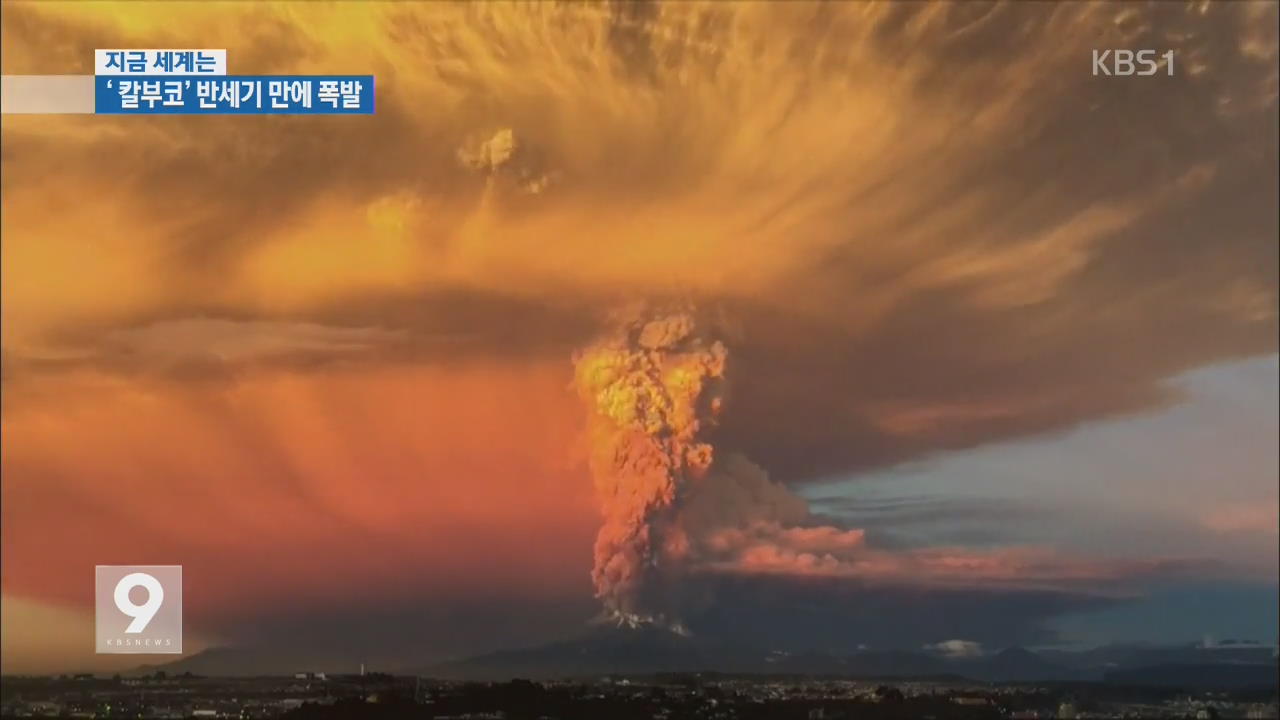 [지금 세계는] 칠레 칼부코 화산 50여년 만에 폭발