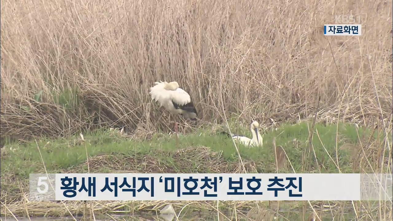 황새 서식지 ‘미호천’ 보호 추진 