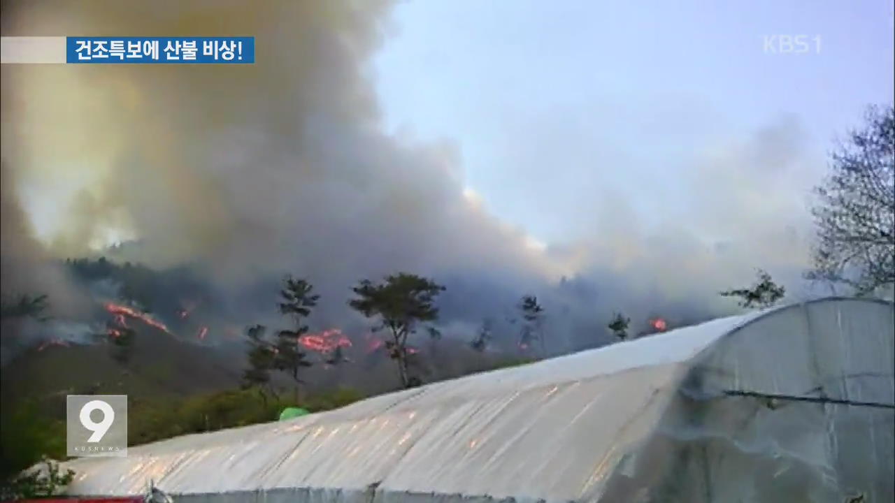 전국 건조특보…곳곳 산불