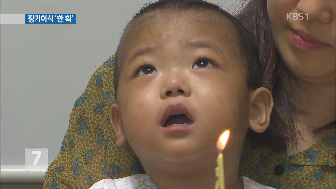 간 살리고 장기 6개 이식 첫 성공… 2살 연호의 ‘기적’