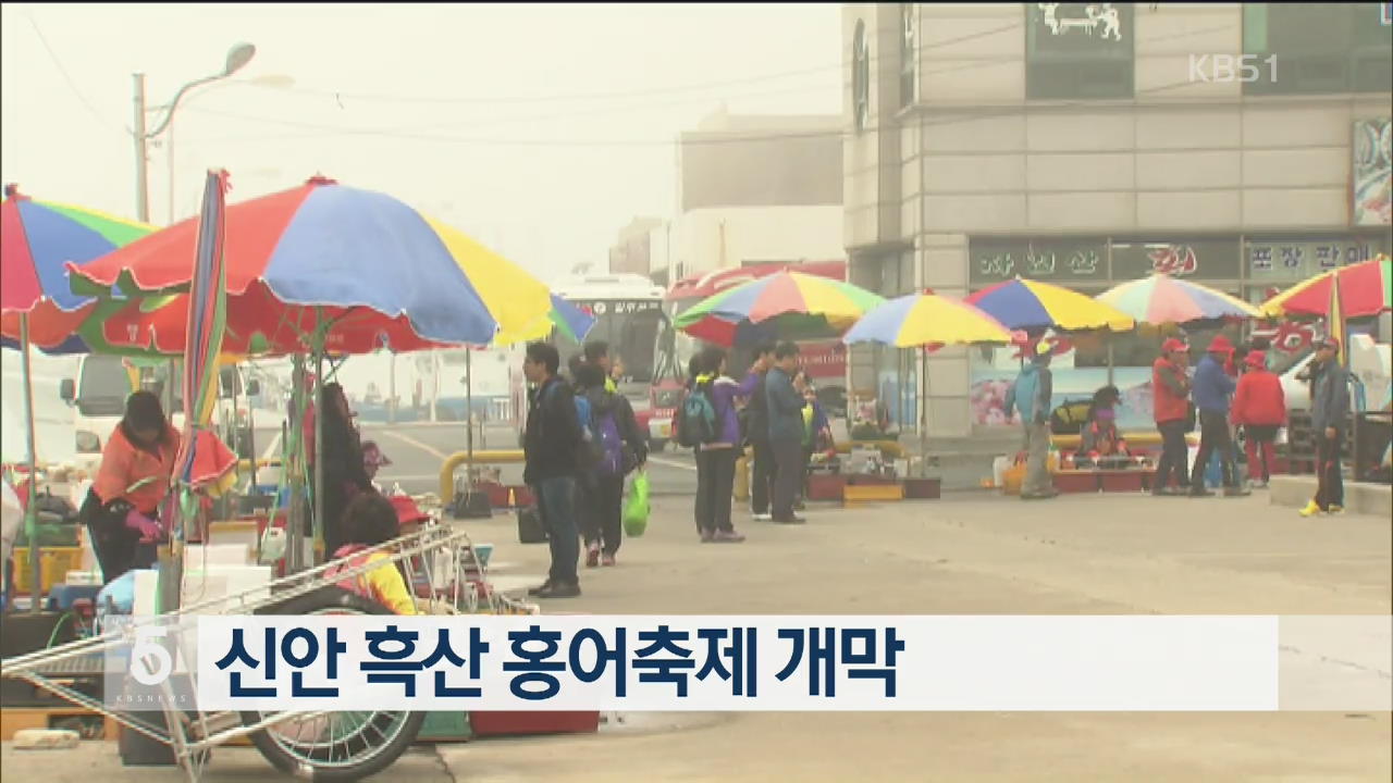 신안 흑산 홍어축제 개막