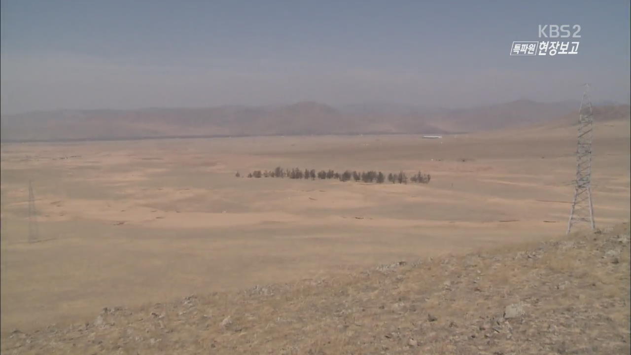[월드 리포트] 사막화 방지, 몽골 스스로 나섰다