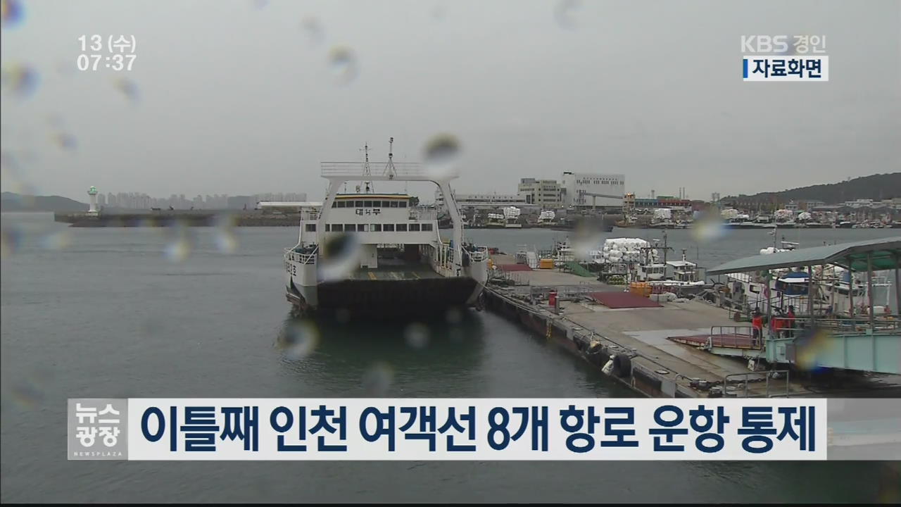 이틀째 인천 여객선 8개 항로 운항 통제