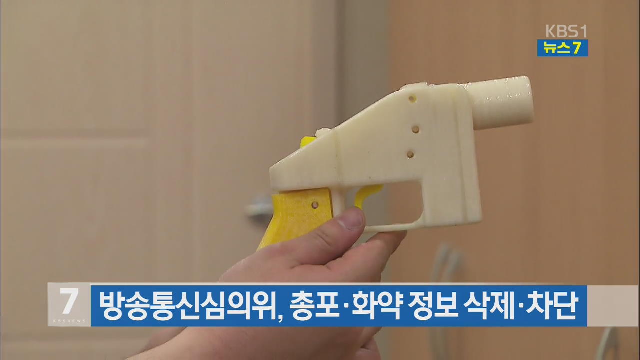 방송통신심의위, 총포·화약 정보 삭제·차단