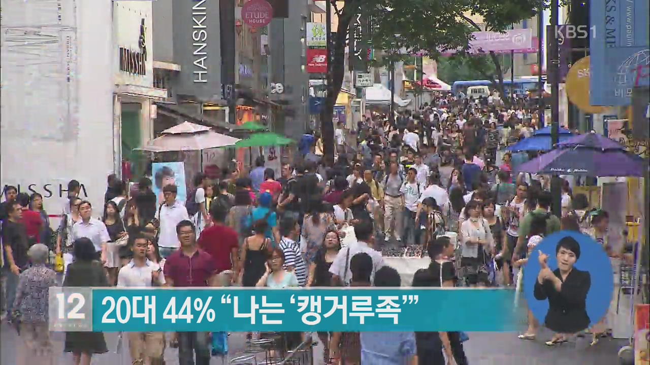 20대 44% “나는 ‘캥거루족’”