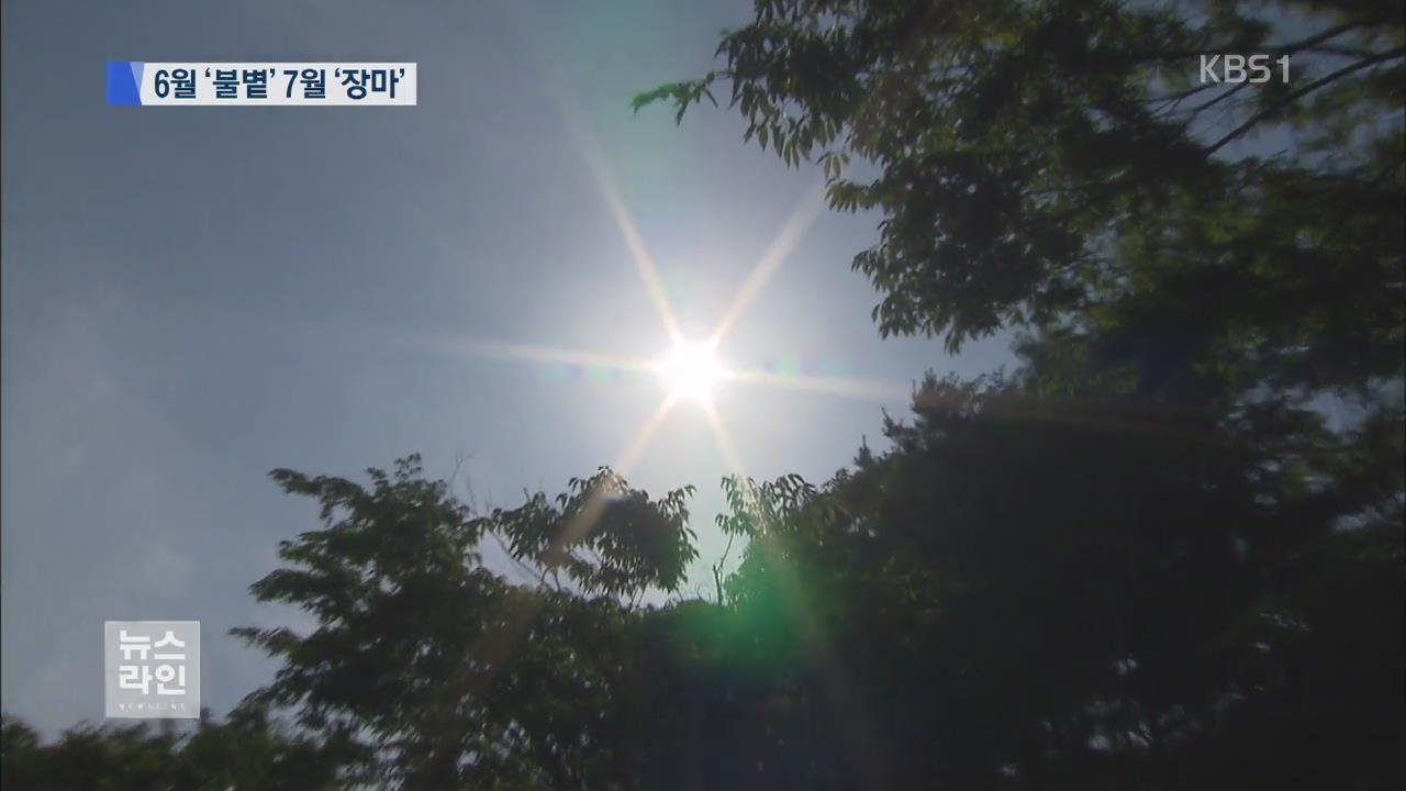 불볕더위 시작…올 여름 기상 전망은?