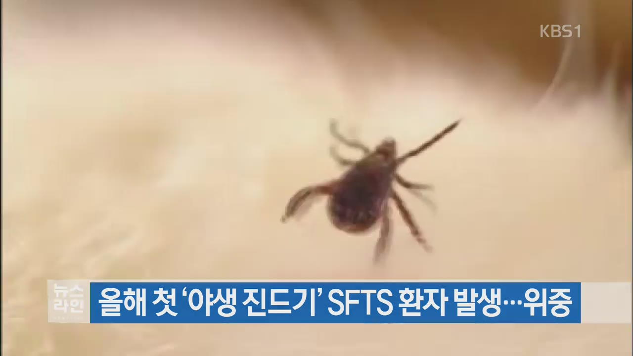 올해 첫 ‘야생 진드기’ SFTS 환자 발생…위중
