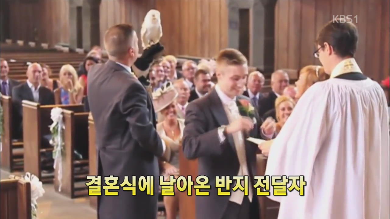 [세상의 창] 결혼식에 날아온 ‘반지 전달자’