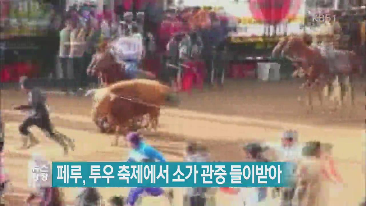 [지금 세계는] 페루, 투우 축제에서 소가 관중 들이받아
