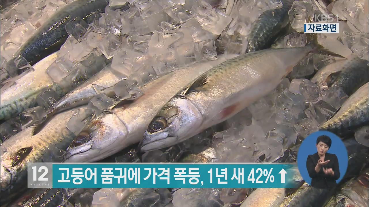 고등어 품귀에 가격 폭등, 1년 새 42%↑