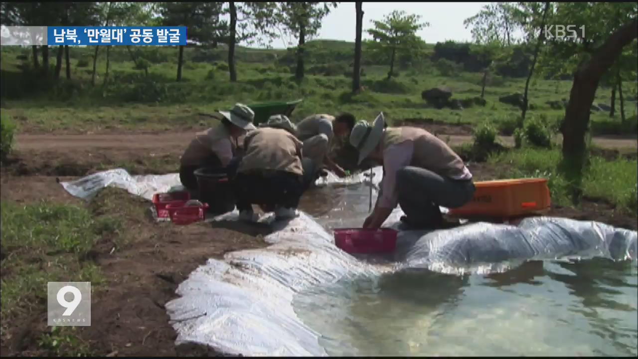 [앵커&리포트] 남북, ‘고려 왕궁터’ 만월대 공동 발굴