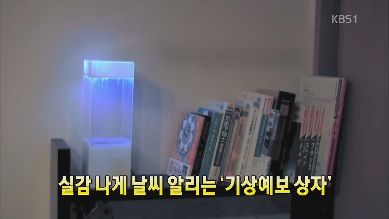 [세상의 창] 실감 나게 날씨 알리는 ‘기상예보 상자’
