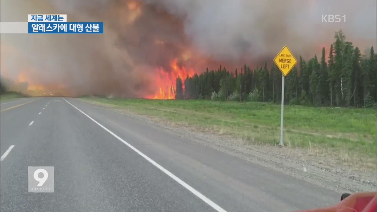 [지금 세계는] 알래스카 대형 산불…1,700가구 대피령