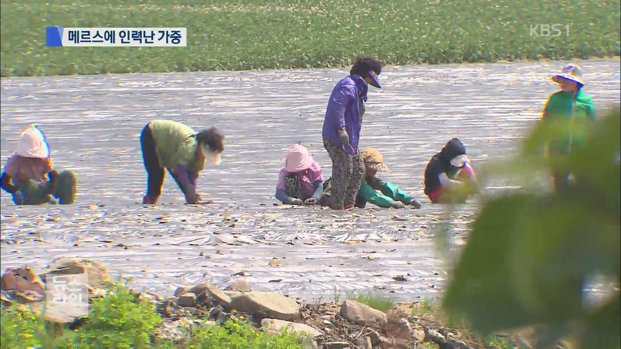 ‘가뭄에 메르스까지’ 봉사 손길 뚝…농심도 ‘바짝’