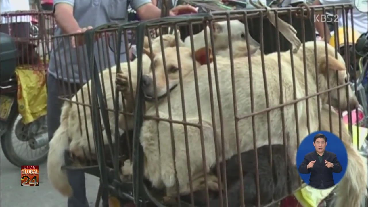 [글로벌24 브리핑] 중국 ‘개고기 축제’ 찬반 논란 