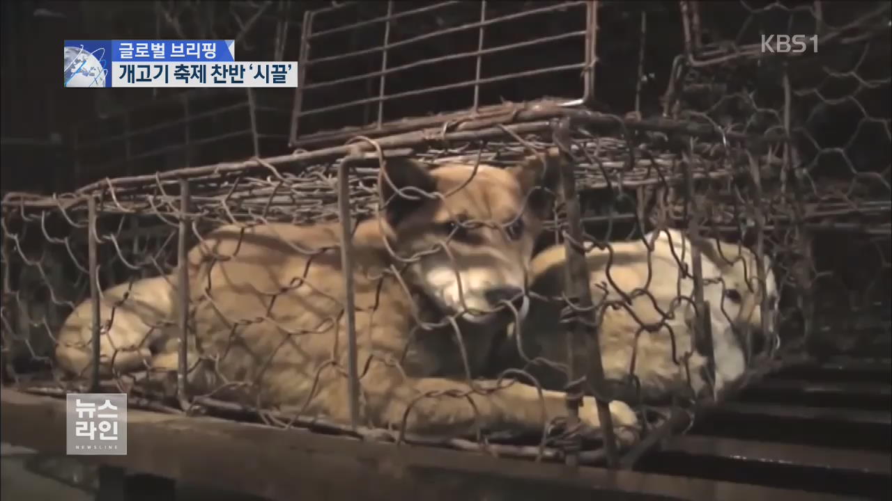 [글로벌 브리핑] 중국 개고기 축제 강행 논란