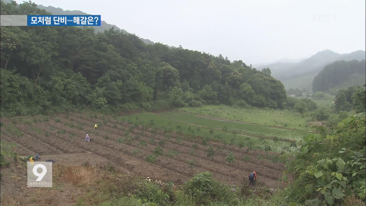 전국 단비·서울 첫 호우주의보…가뭄 해갈 ‘부족’