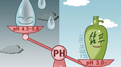 [건강똑똑] 산성비 맞으면 정말 머리가 빠질까?