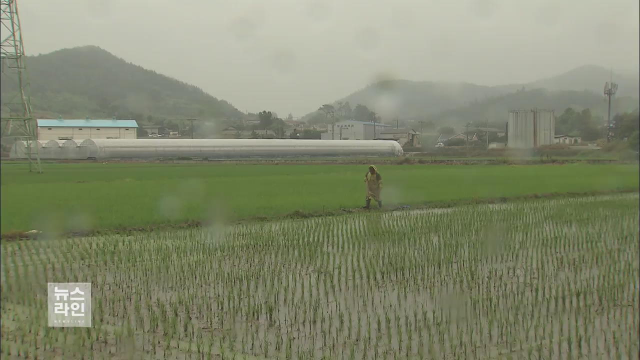 중부 단비…남해안 밤새 집중호우