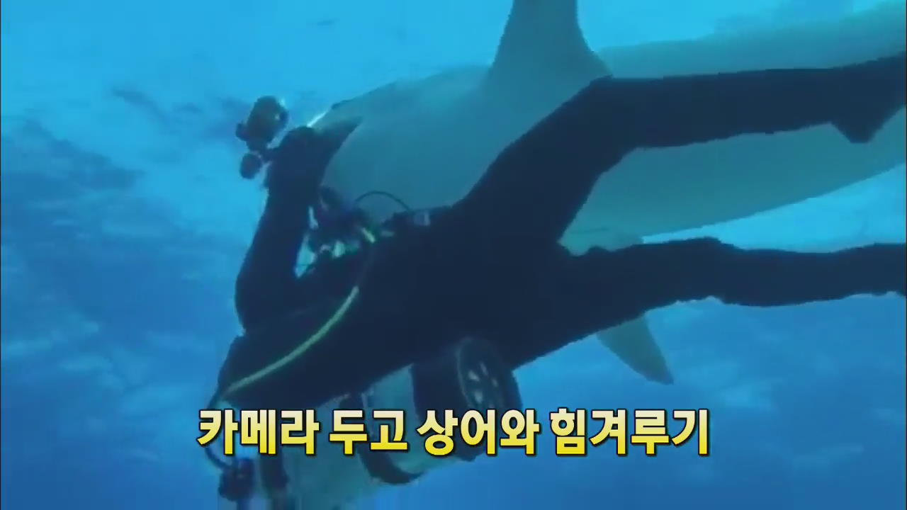 [세상의 창] 카메라 두고 상어와 힘겨루기