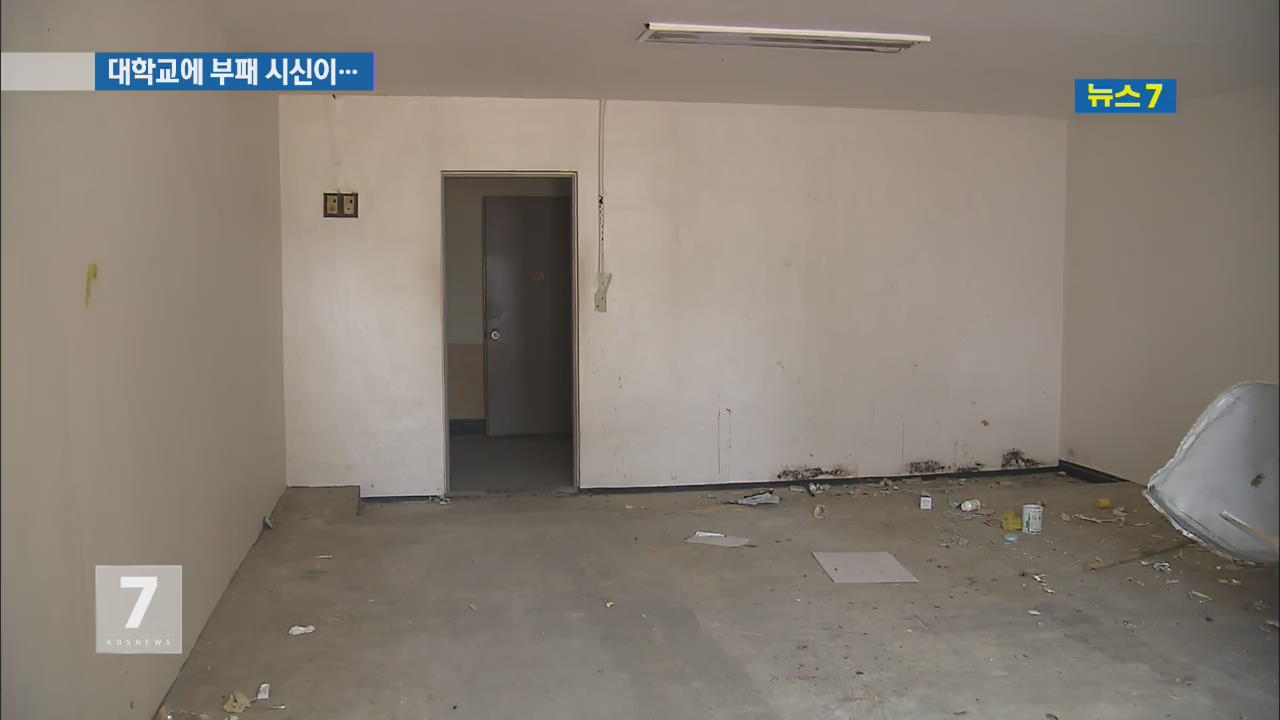 폐쇄된 대학 건물서 ‘부패 시신’ 발견…경찰 수사