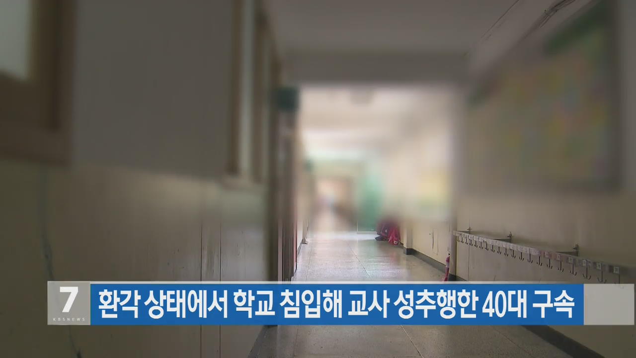 환각 상태서 초교 침입…‘여교사 성추행’ 40대 구속