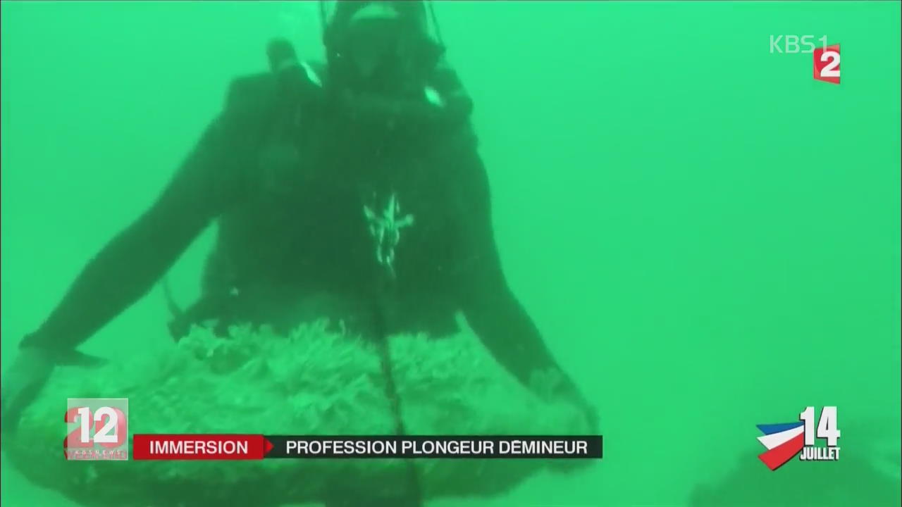 프랑스, 폭발물 해체 전문 잠수 부대