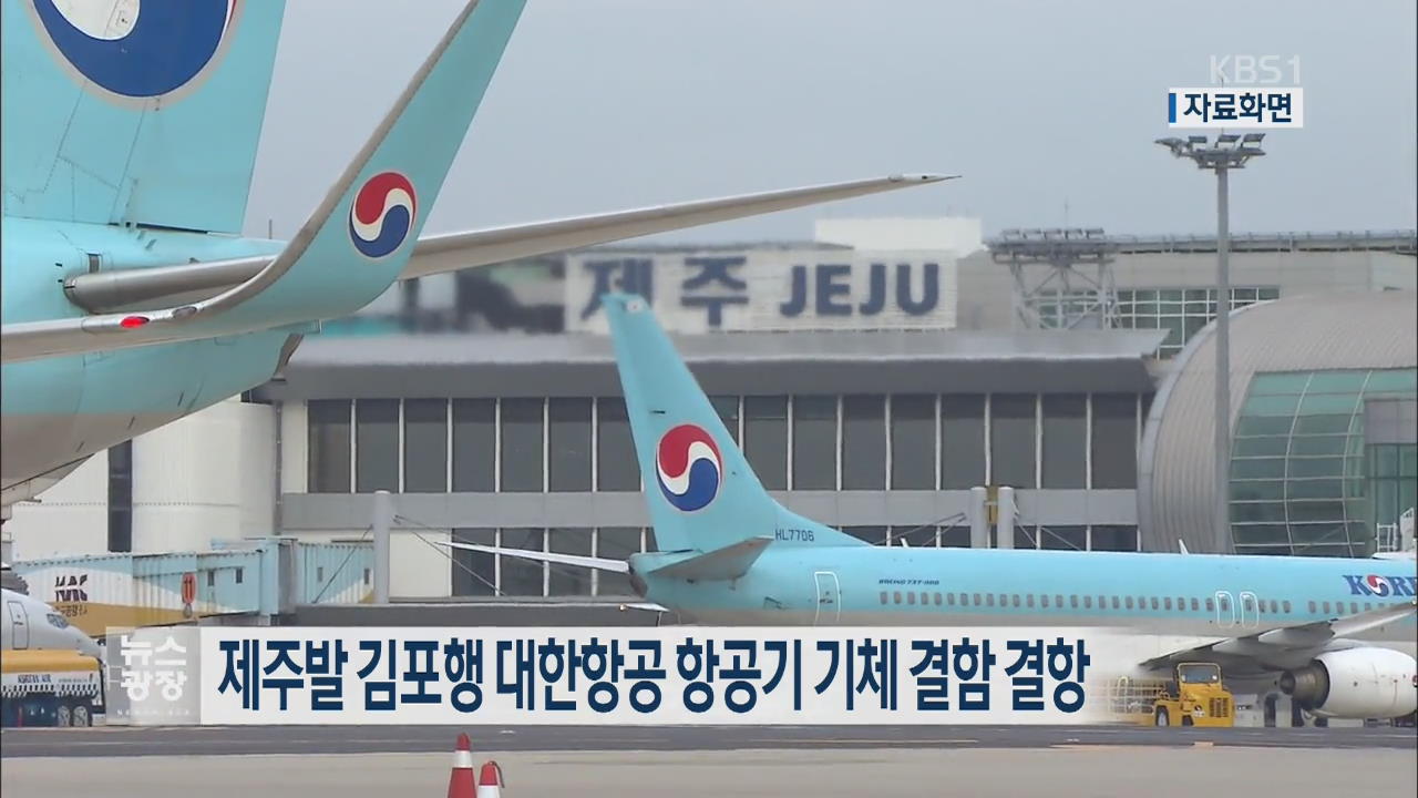 제주발 김포행 대한항공 항공기 기체 결함 결항