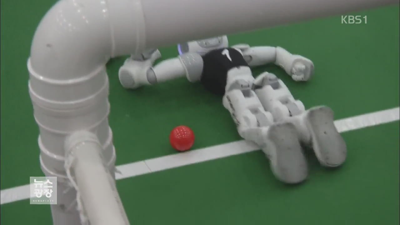 [지금 세계는] 중국서 열린 국제 로봇 ‘월드컵’