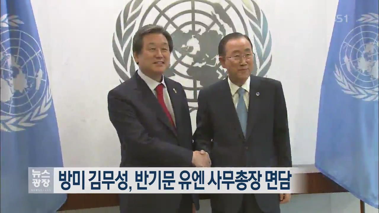 방미 김무성, 반기문 유엔 사무총장 면담