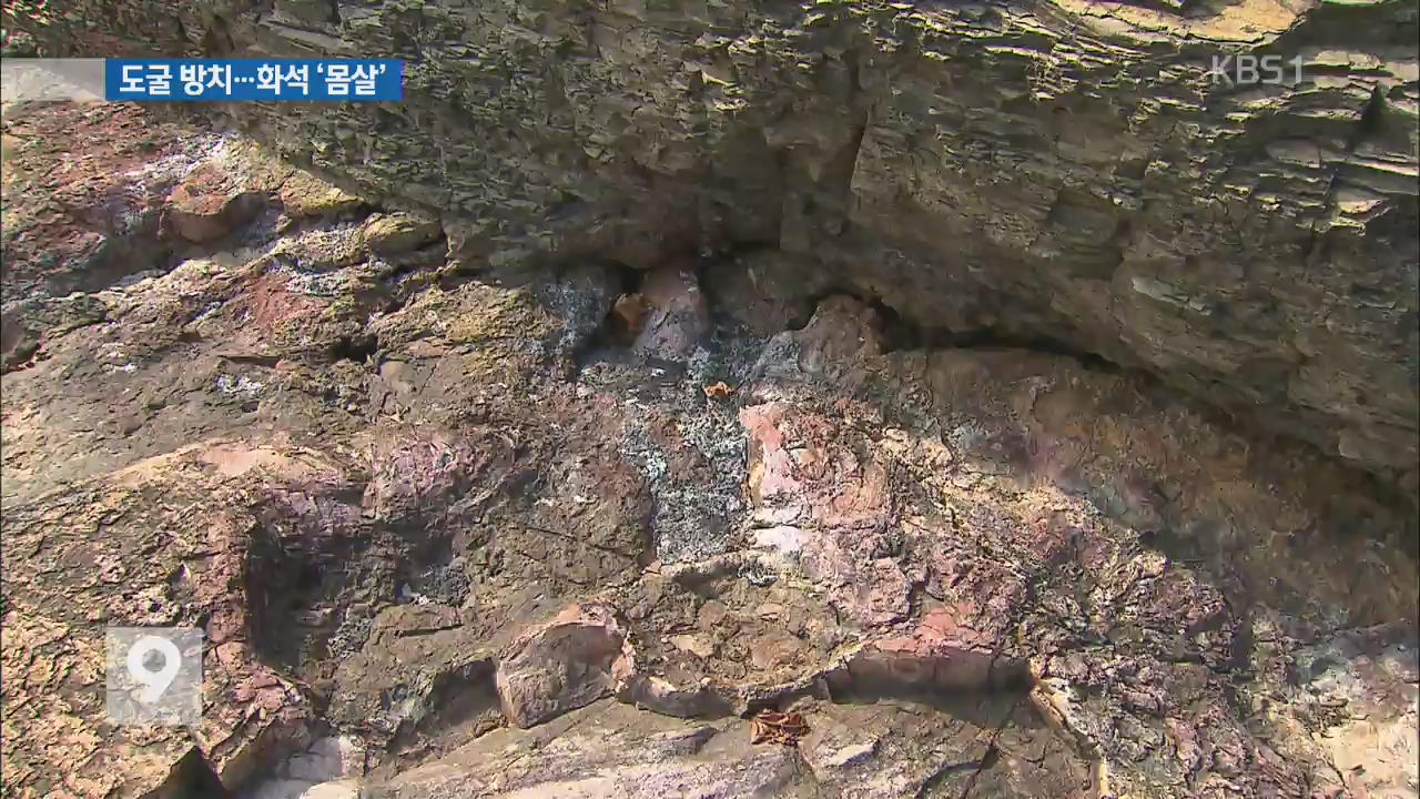 [현장추적] 천연기념물 화석 산지, 도굴·훼손 심각