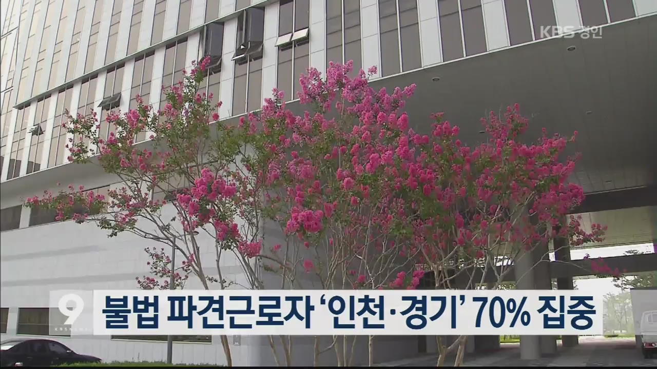 불법 파견근로자 ‘인천·경기’ 70% 집중