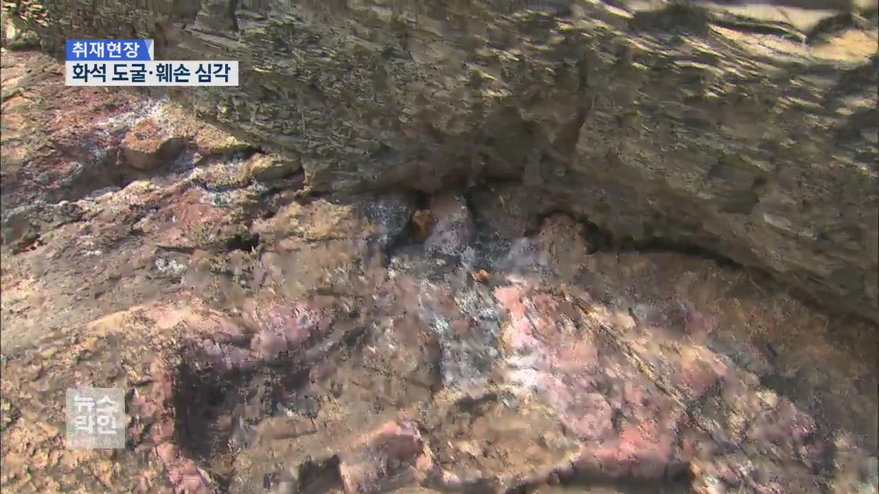 [취재현장] 천연기념물 화석 산지, 도굴·훼손 심각